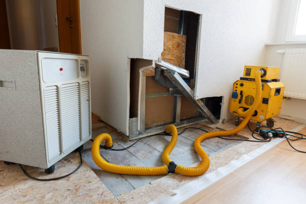 Trusted Granby, MO Mold Removal Experts